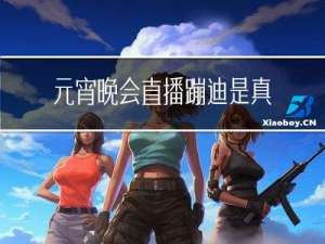 元宵晚会直播蹦迪是真的吗
