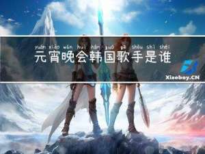 元宵晚会韩国歌手是谁