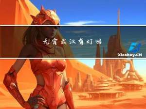 元宵武汉有灯吗