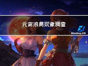元宵浪费现象调查