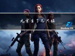 元宵生了几只猫