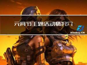 元宵节主题活动情况介绍