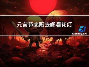 元宵节南阳去哪看花灯作文