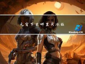 元宵节去哪里买冰柜