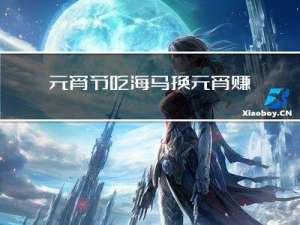 元宵节吃海马换元宵赚钱吗