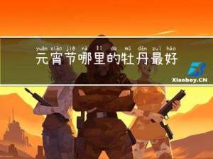 元宵节哪里的牡丹最好看