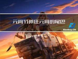 元宵节抓住元宵的尾巴怎么形容