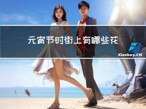 元宵节时街上有哪些花灯