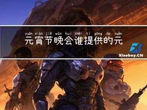 元宵节晚会谁提供的元宵