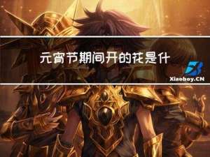 元宵节期间开的花是什么