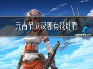 元宵节武汉哪有花灯看