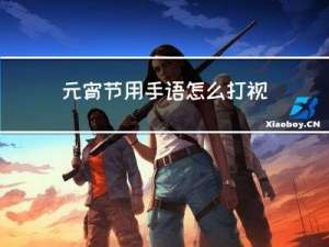 元宵节用手语怎么打视频