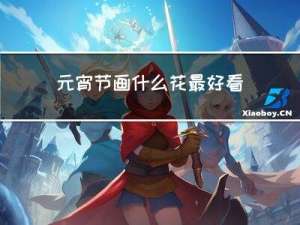 元宵节画什么花最好看图片