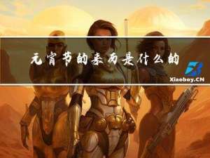 元宵节的来历是什么的视频