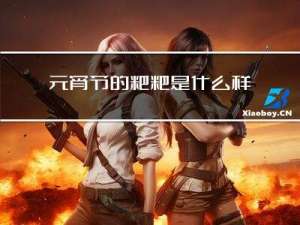 元宵节的粑粑是什么样的