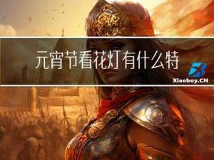元宵节看花灯有什么特点