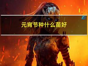 元宵节种什么苗好