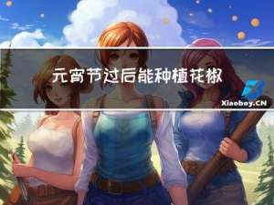 元宵节过后能种植花椒吗