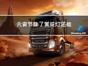 元宵节除了赏花灯还能干嘛