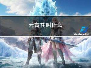 元宵花叫什么
