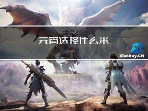 元宵选择什么米