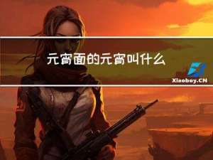 元宵面的元宵叫什么