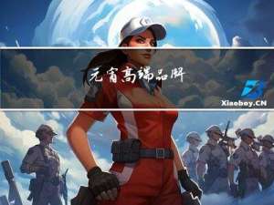 元宵高端品牌