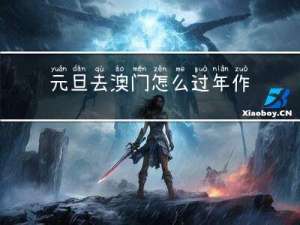 元旦去澳门怎么过年作文