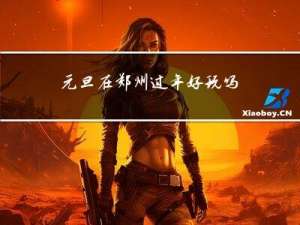 元旦在郑州过年好玩吗作文