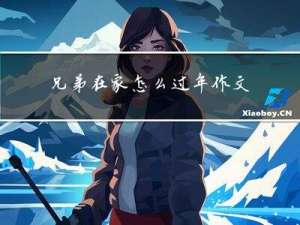 兄弟在家怎么过年作文