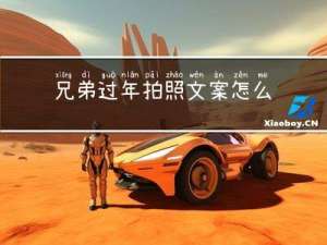 兄弟过年拍照文案怎么写