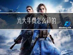 光大年费怎么算的