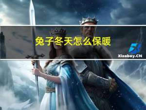 兔子冬天怎么保暖