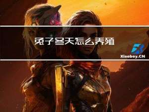 兔子冬天怎么养殖
