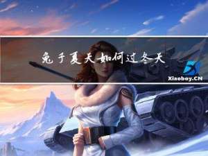 兔子夏天如何过冬天