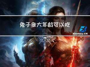 兔子多大年龄可以吃