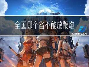 全国哪个省不能放鞭炮过年