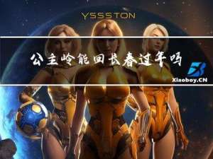 公主岭能回长春过年吗