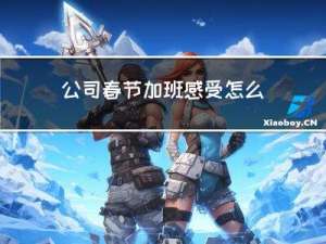 公司春节加班感受怎么写