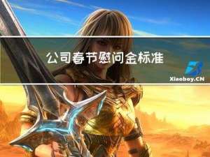 公司春节慰问金标准