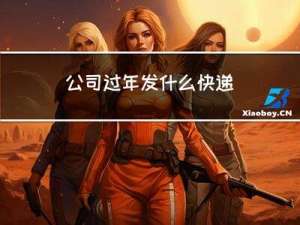 公司过年发什么快递