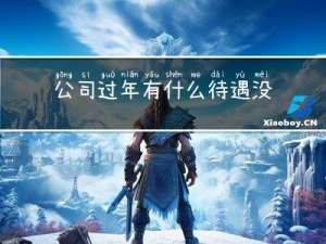 公司过年有什么待遇没