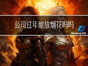 公司过年能放烟花吗吗