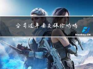 公司过年要交保险吗吗