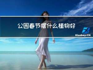 公园春节摆什么植物好看