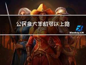 公民多大年龄可以上路行驶