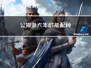 公狗多大年龄能配种