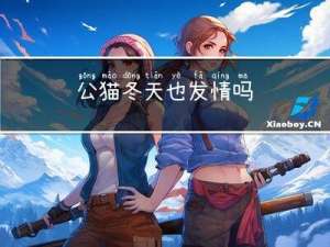 公猫冬天也发情吗
