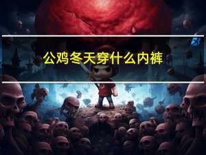 公鸡冬天穿什么内裤