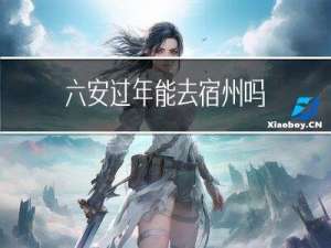 六安过年能去宿州吗